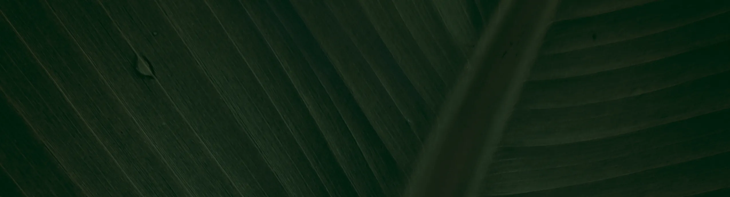 6 In 1 Face Cream For Men, Moisturizing And Smoothing Facial Cream For Fine Lines, Bags And Dark Circles